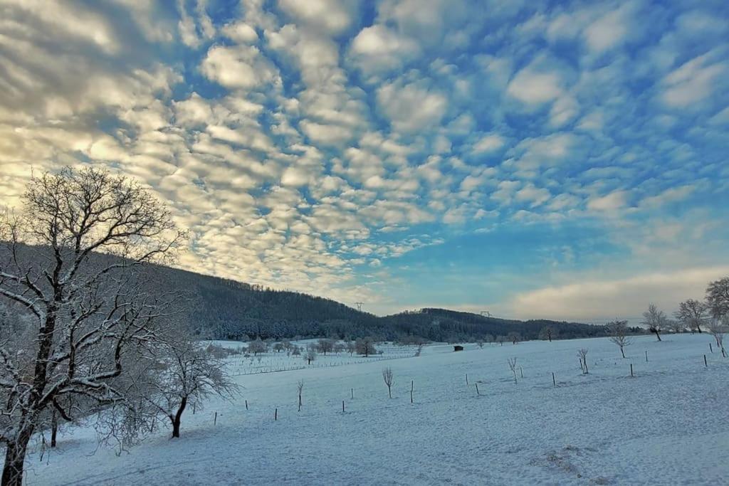 Silence Of Alsace Holiday home